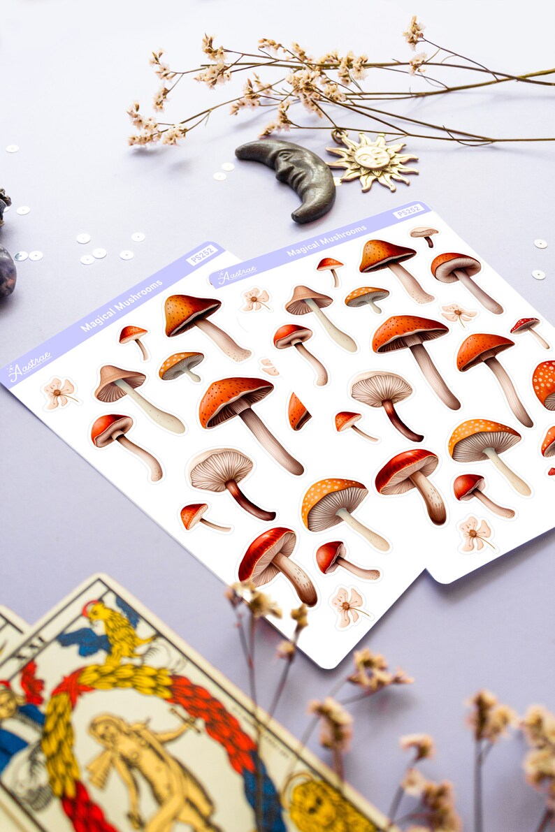 Peut inclure: Une feuille d'autocollants illustrant des champignons rouges et orange avec des points blancs. Les autocollants sont &eacute;tiquet&eacute;s "Champignons Magiques" et "Aestrea".