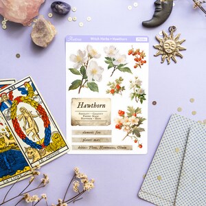 May include: A sheet of stickers featuring illustrations of Hawthorn flowers and berries. The stickers are white with a vintage aesthetic. The text on the sticker reads "Hawthorn, Fertility, Chastity, Furing Magic, Happiness, Hope, element: fire, planet: mars, deities: Flora, Hymenaios, Olwen".