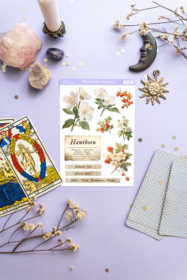 May include: A sheet of stickers featuring illustrations of Hawthorn flowers and berries. The stickers are white with a vintage aesthetic. The text on the sticker reads "Hawthorn, Fertility, Chastity, Furing Magic, Happiness, Hope, element: fire, planet: mars, deities: Flora, Hymenaios, Olwen".