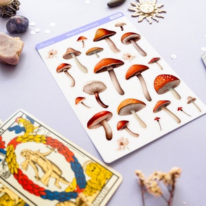 Peut inclure: Une feuille d'autocollants illustrant diff&eacute;rents champignons rouges et blancs avec des tiges brunes. Les autocollants sont &eacute;tiquet&eacute;s "Magical Mushrooms" et "Astroe PS25X".