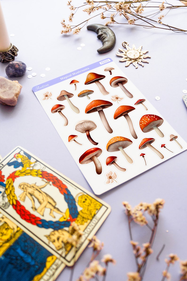Peut inclure: Une feuille d'autocollants illustrant diff&eacute;rents champignons rouges et blancs avec des tiges brunes. Les autocollants sont &eacute;tiquet&eacute;s "Magical Mushrooms" et "Astroe PS25X".