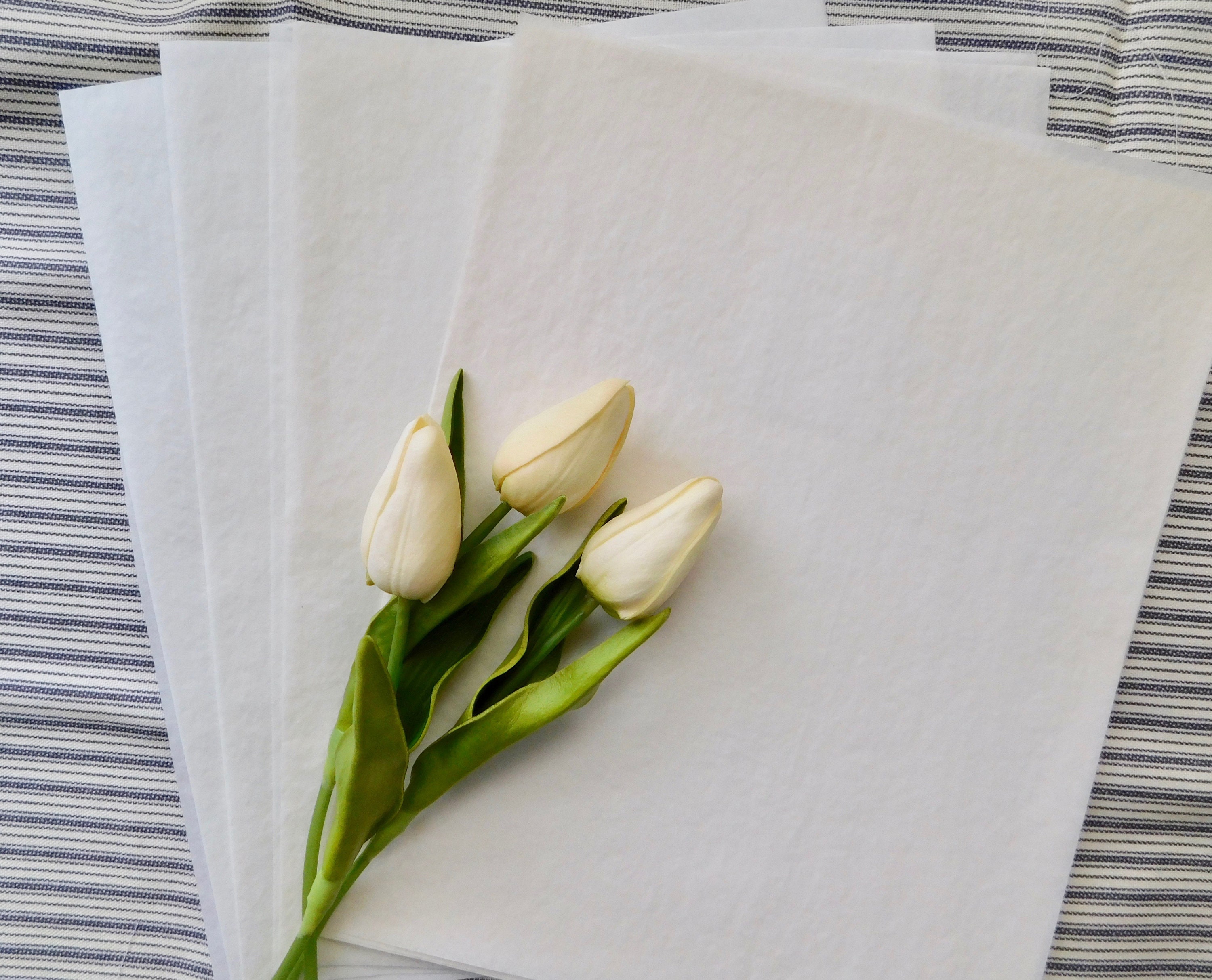 Vintage Onion Skin Paper 10 Sheets A3 Etsy Canada