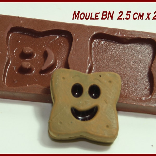 moule silicone biscuit mini BN  2.5 cm X 2.5 cm