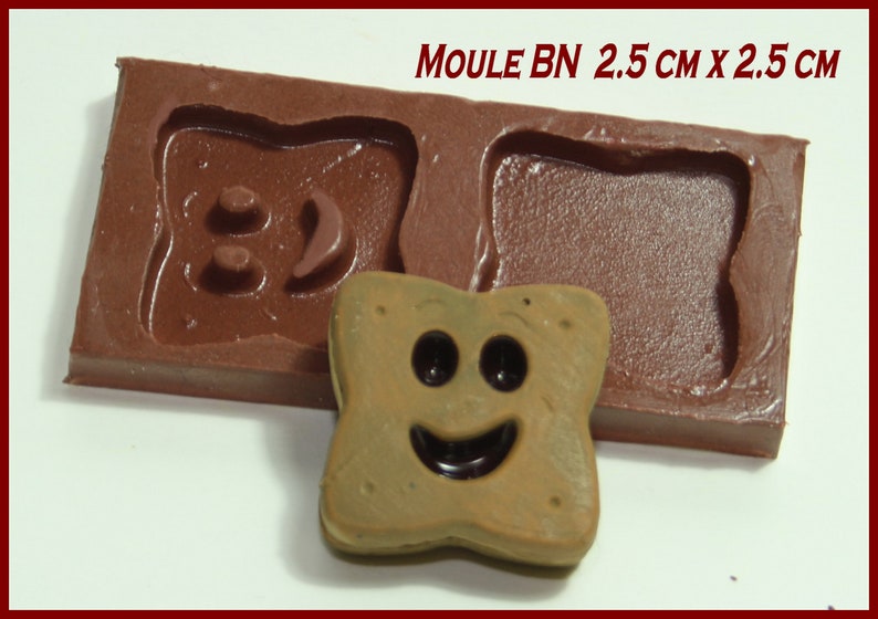 moule silicone biscuit mini BN 2.5 cm X 2.5 cm image 1