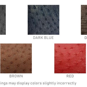 May include: A collection of five square swatches showcasing different colors of a textured material. The colors include black, dark blue, dark brown, brown, and red. The text below each swatch identifies the color. The bottom of the image has a note about color display.