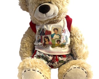 Build a Bear Disney High School Musical Movie 15