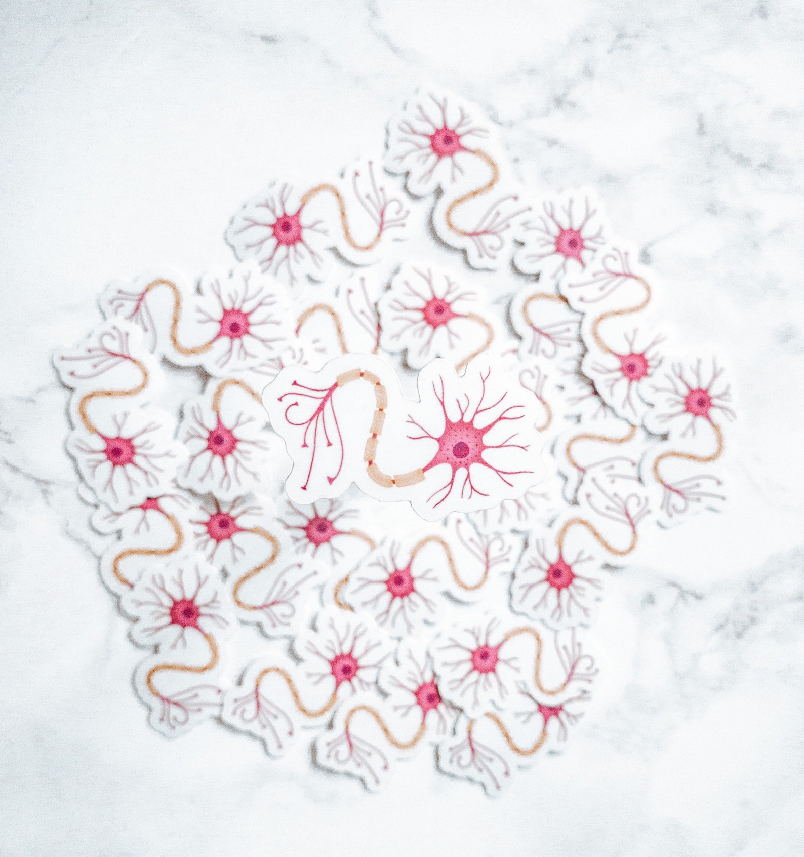 Edible Neuron Sticker Neuron Vinyl Sticker - Etsy