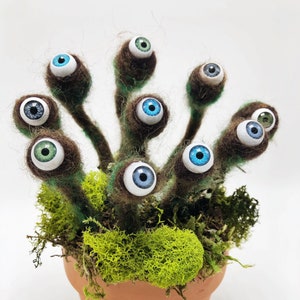 Potted Eye Lichen Art Sculpture, Labyrinth Gift Idea, Witchy Decor, Eye Lichen Plant, Alien Eyeball Moss Plant, Witch Gifts