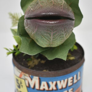 Baby Audrey II Replica Prop Display from Little Shop Of Horrors image 2