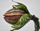 Deluxe Baby Audrey II Replica Prop Display from &quot;Little Shop Of Horrors&quot;