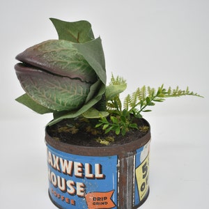 Baby Audrey II Replica Prop Display from Little Shop Of Horrors image 1