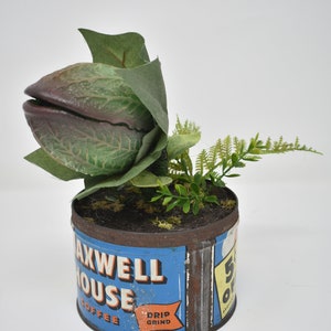 Baby Audrey II replica propdisplay van "Little Shop Of Horrors"