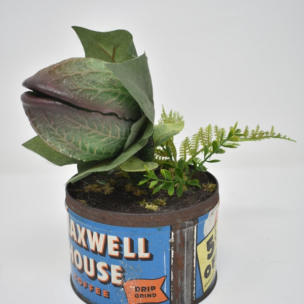 Baby Audrey II Replica Prop Display from "Little Shop Of Horrors"