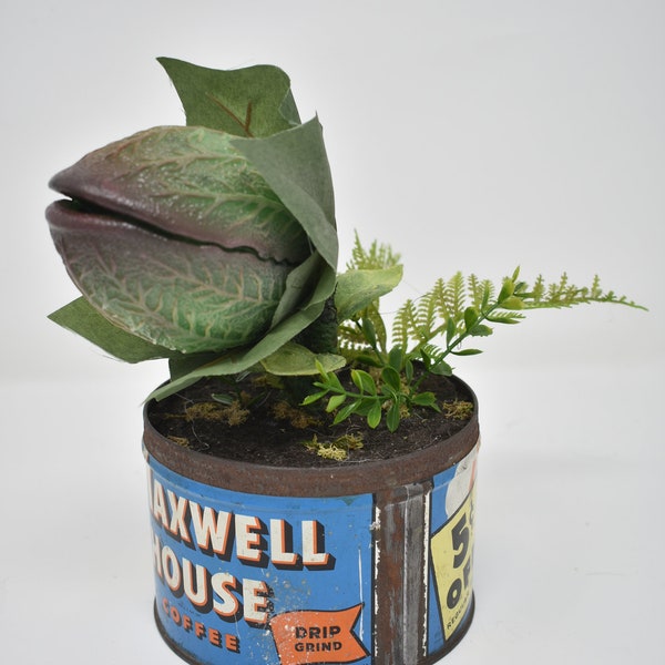 Baby Audrey II replica propdisplay van "Little Shop Of Horrors"