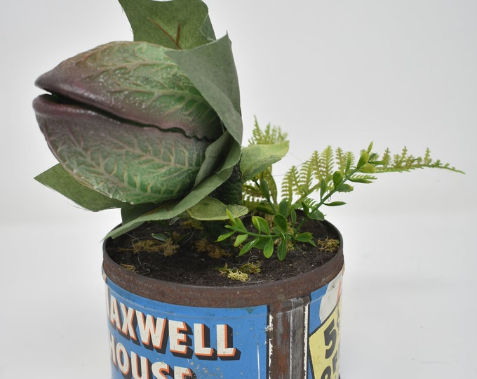 Baby Audrey II Replica Prop Display from "Little Shop Of Horrors"