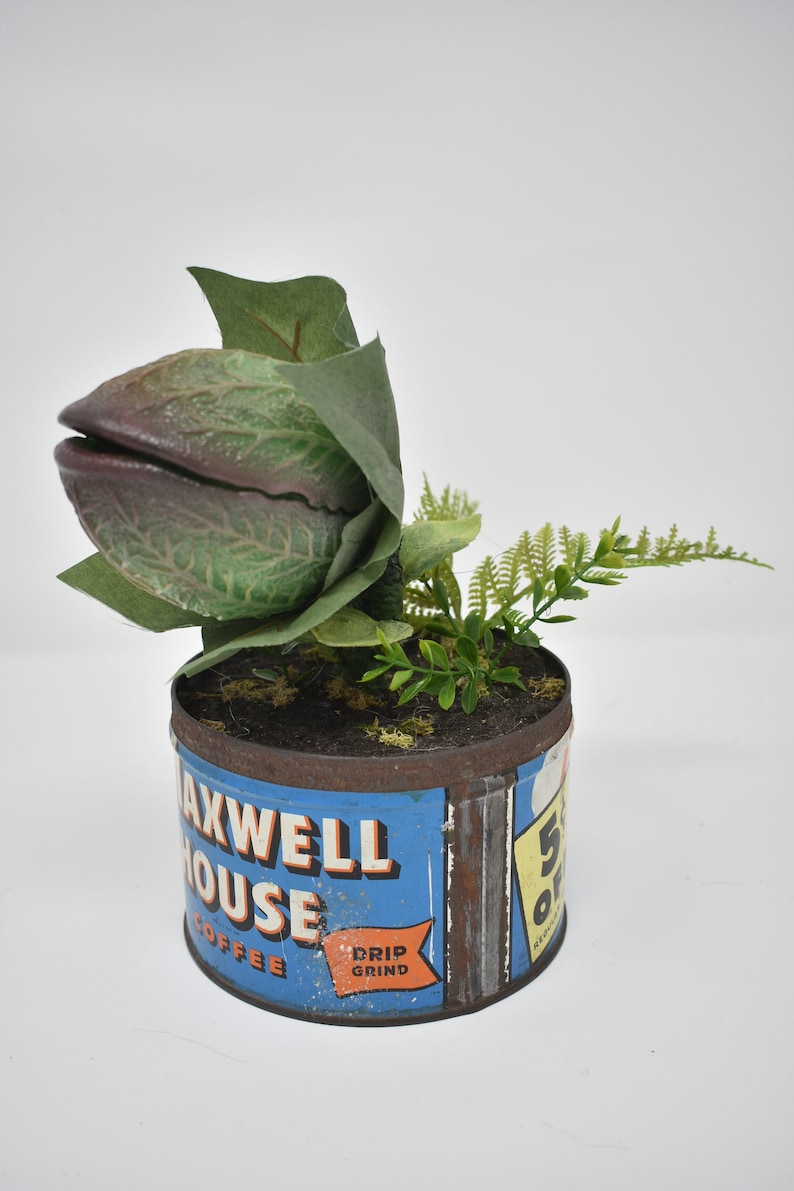 Baby Audrey II Replica Prop Display from Little Shop Of Horrors image 1