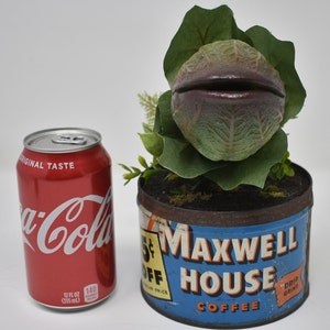 Baby Audrey II Replica Prop Display from Little Shop Of Horrors image 6