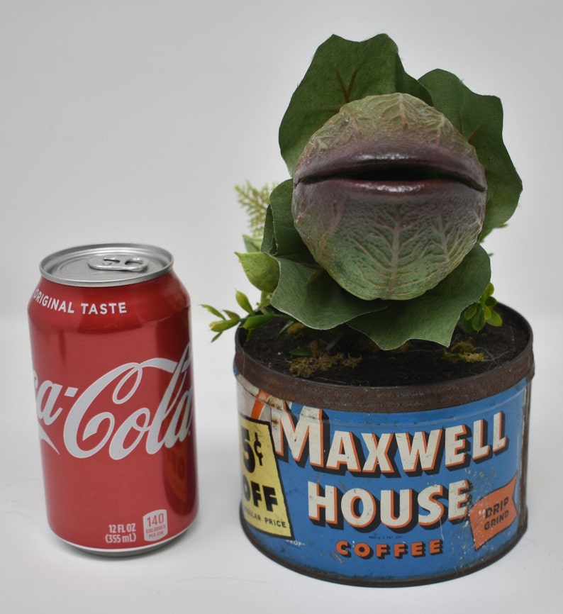Baby Audrey II Replica Prop Display from Little Shop Of Horrors image 6