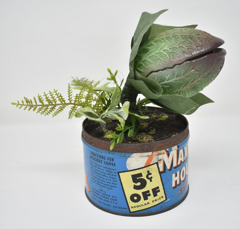 Baby Audrey II Replica Prop Display from Little Shop Of Horrors image 5