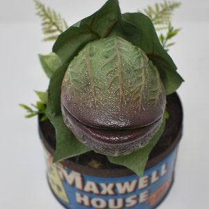 Baby Audrey II Replica Prop Display from Little Shop Of Horrors image 8