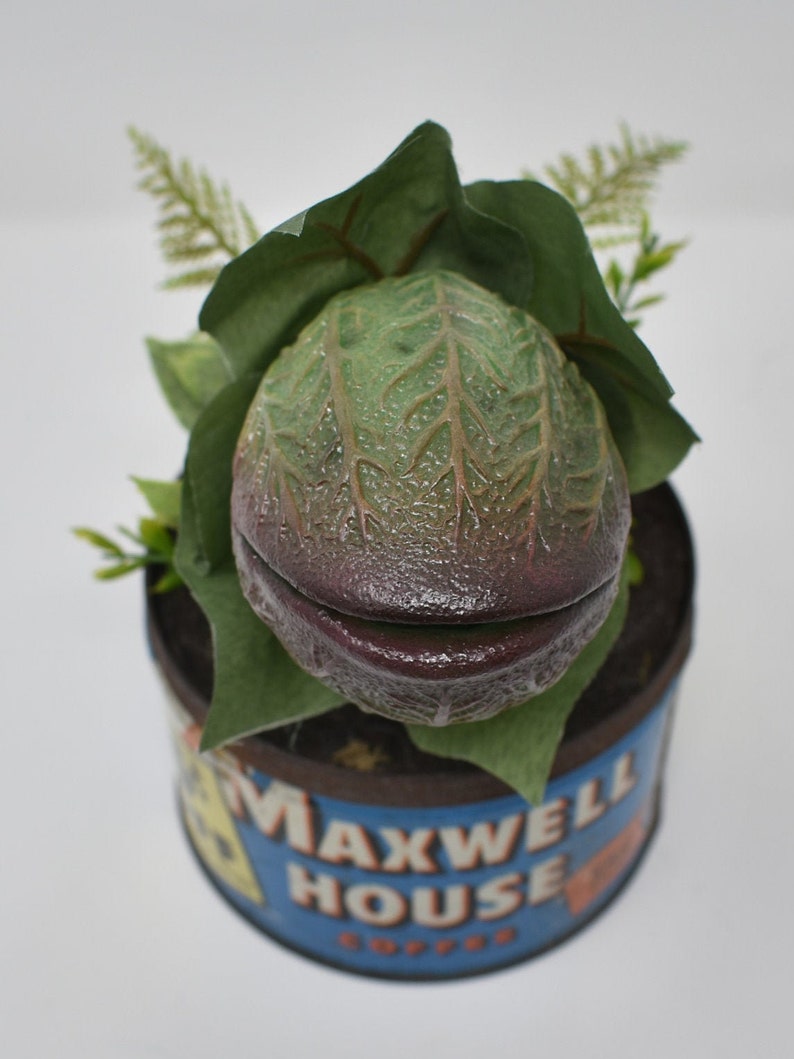 Baby Audrey II Replica Prop Display from Little Shop Of Horrors image 8