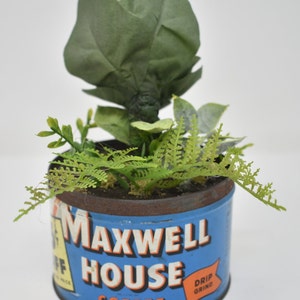 Baby Audrey II Replica Prop Display from Little Shop Of Horrors image 4