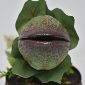 Baby Audrey II Replica Prop Display from Little Shop Of Horrors image 3