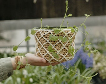 CROCHET PATTERN | Raffia pot cover | Plant pot cozy | Flower pot sleeve | Garden Lattice Pot Cover