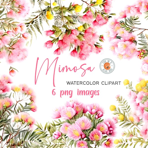 Mimosa Flower clipart,  Mimosa Flowers in PNG format, Watercolor Mimosa Clipart, Transparent Mimosa clipart, Mimosa Bouquets PNG