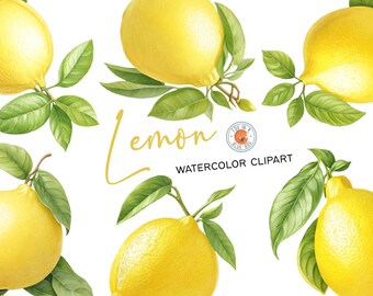 Watercolor Lemon Clipart: Transparent PNG Files (Commercial Use)