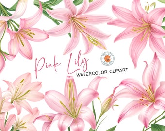 Pink Lily clipart, Pink Lily Flowers in PNG format, Watercolor Pink Lily Clipart, Watercolor Pink Lily Bouquets,  Watercolor Pink Lily PNG