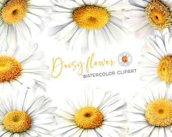 Watercolor Daisy Clipart: Floral PNG Set (Digital Download)