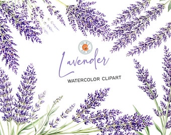 Watercolor Lavender Clipart Set: Transparent PNG Floral Graphics