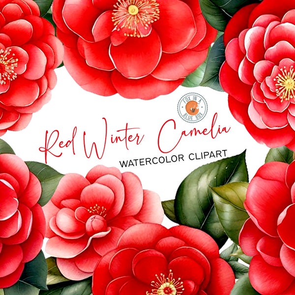 Clipart de fleur de camélia d’hiver rouge, fleurs de camélia d’hiver rouge en format PNG, aquarelle clipart de camélia d’hiver rouge, camélia d’hiver rouge