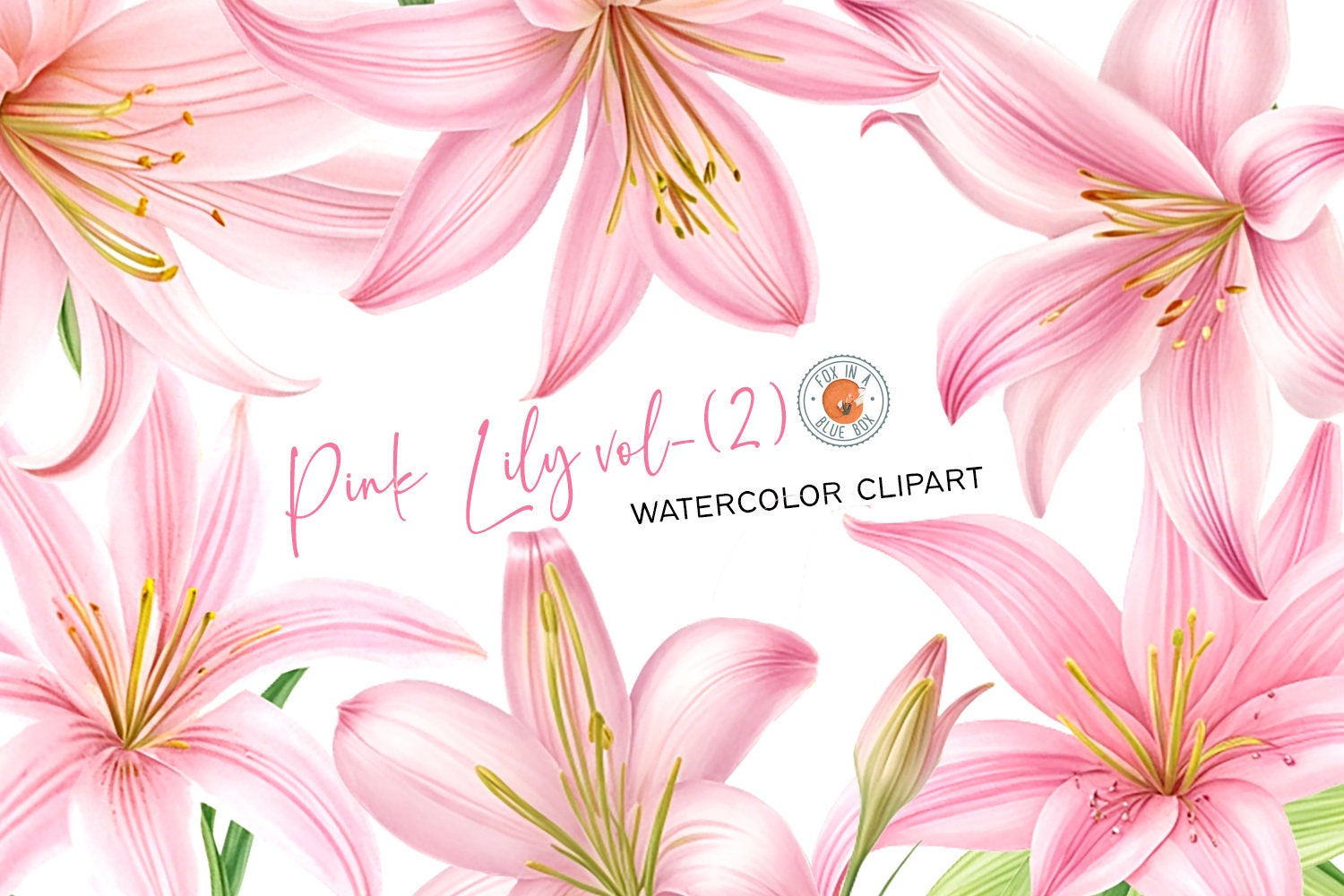 Watercolor Pink Lily Clipart: Floral PNG Set (digital Download) - Etsy  Israel