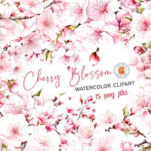 Kirschblüten Clipart, Kirschblüten-Blumen im PNG-Format, Aquarell Kirschblüte Clipart, Aquarell Kirschblütenzweig,