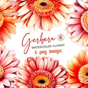 Gerbera Flower clipart,  Gerbera Flowers in PNG format, Watercolor  Gerbera Clipart,  Transparent Gerbera Flowers clipart, Gerbera Bouquets