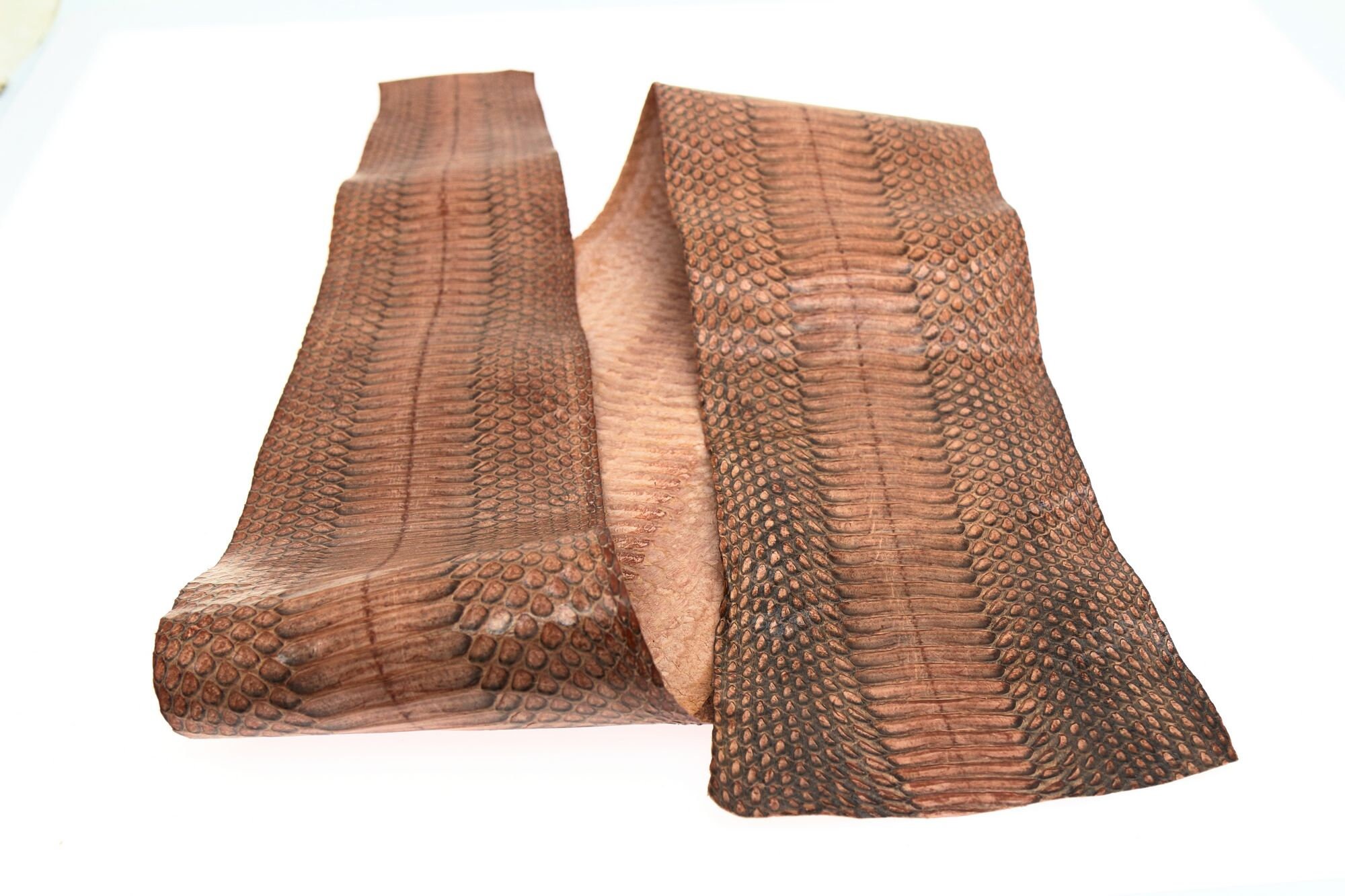 Asia Cobra Snake Skin Hide Leather Snakeskin Craft Supply Etsy