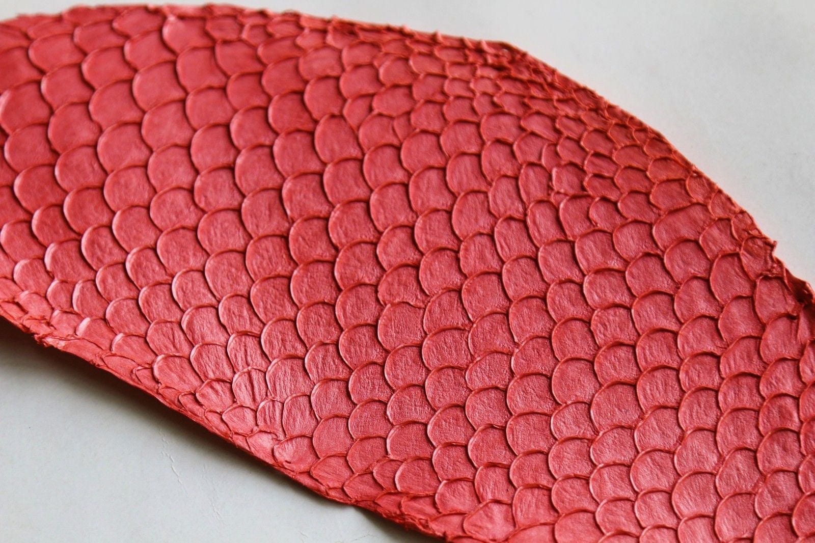 Véritable peau de poisson TILAPIA Nacré