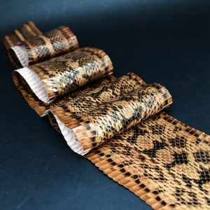 Elaphe Carinata Snake Skin Leather Snakeskin Craft Supply Unbleached Brownish