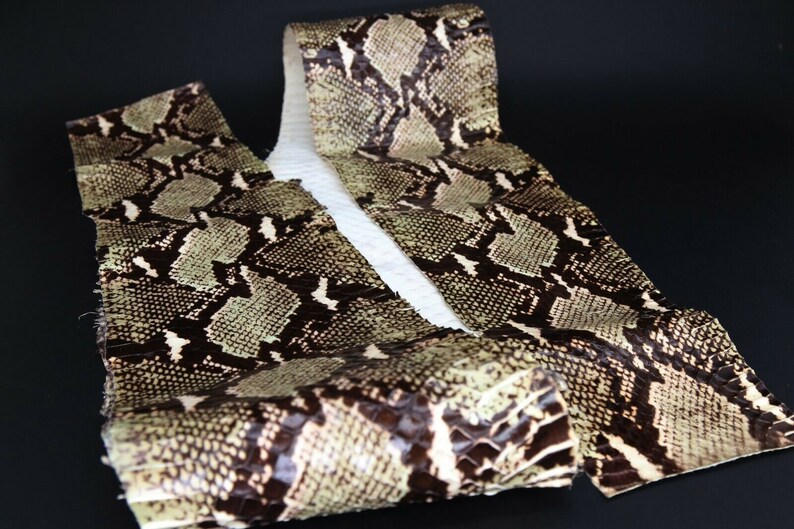 Asia Cobra Snake Skin Hide Leather Snakeskin Craft Supply Etsy