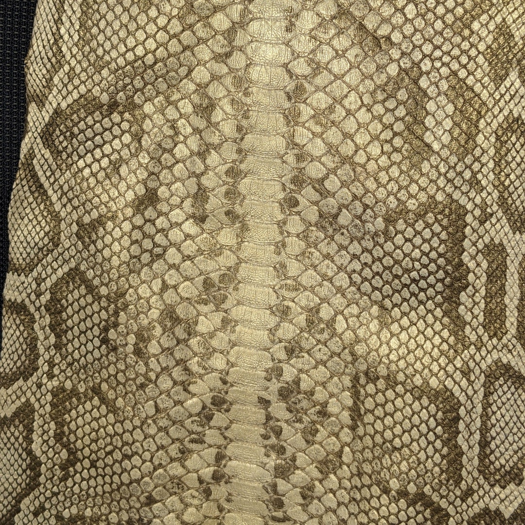 Genuine Burmese Python Skin SNAKE Hide Python Leather Crisp Gold - Etsy
