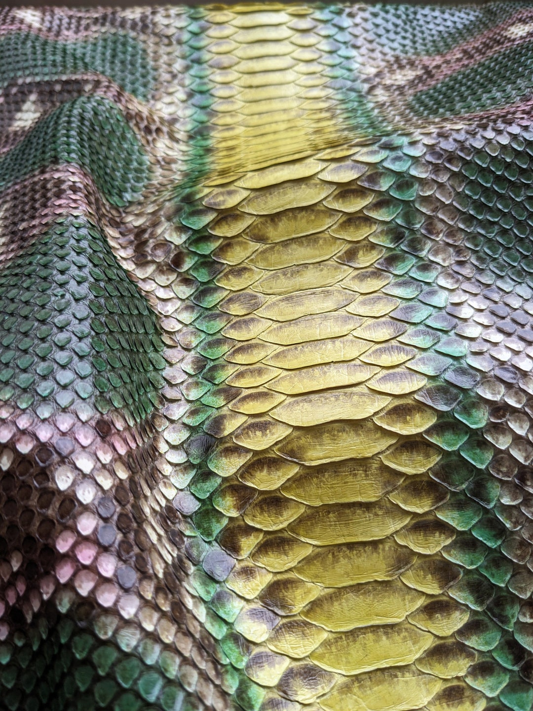 Genuine Reticulated Python Skin Piece - Etsy