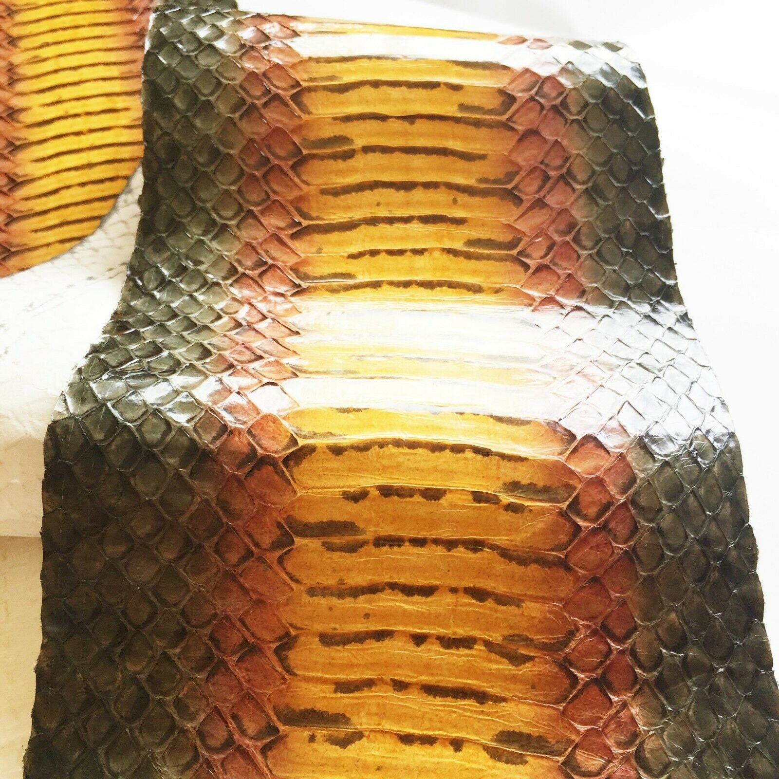 Asia Snake Skin Hide Leather Snakeskin Craft Supply Olive Etsy