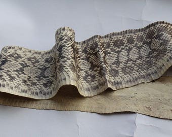 Real Snake Skin (1,000+ Real Snake Skin) | Etsy