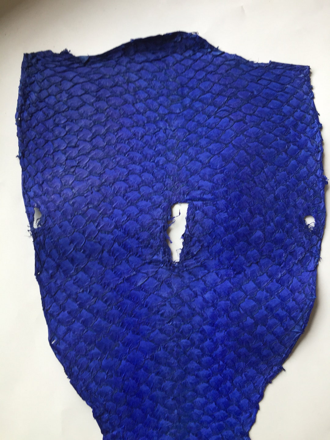 Authentic Grass Carp Fish Skin Leather Hide Craft Supply Blue Etsy