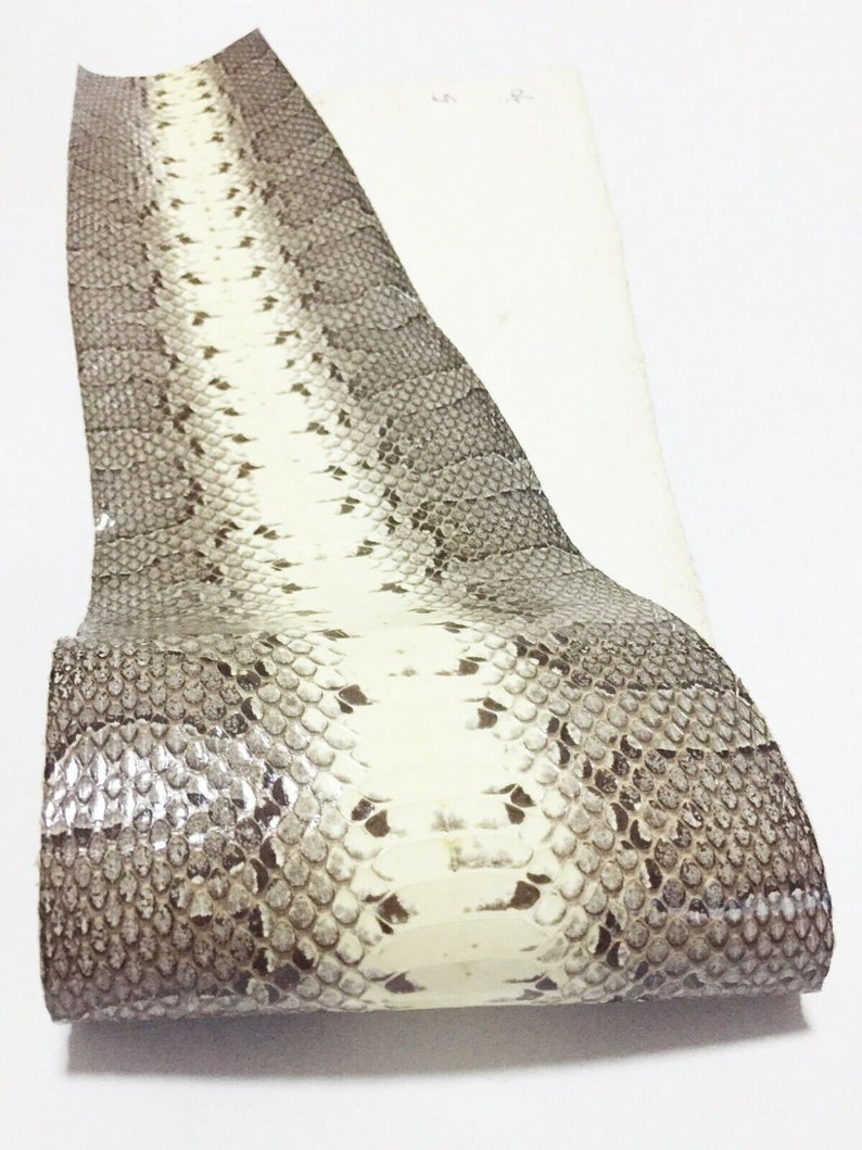 Masked Water Snake Skin Hide Leather Snakeskin Craft Supply - Etsy