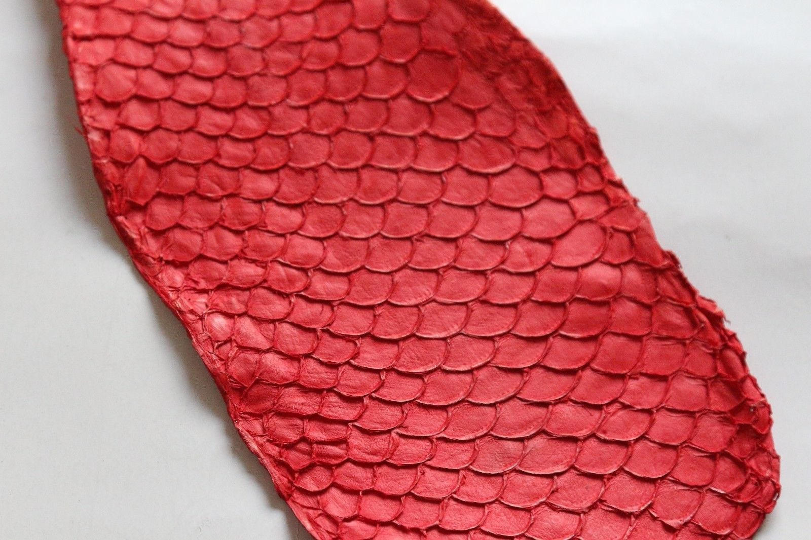 Real fish leather skin Tilapia Leather Goods Red Tomato Etsy