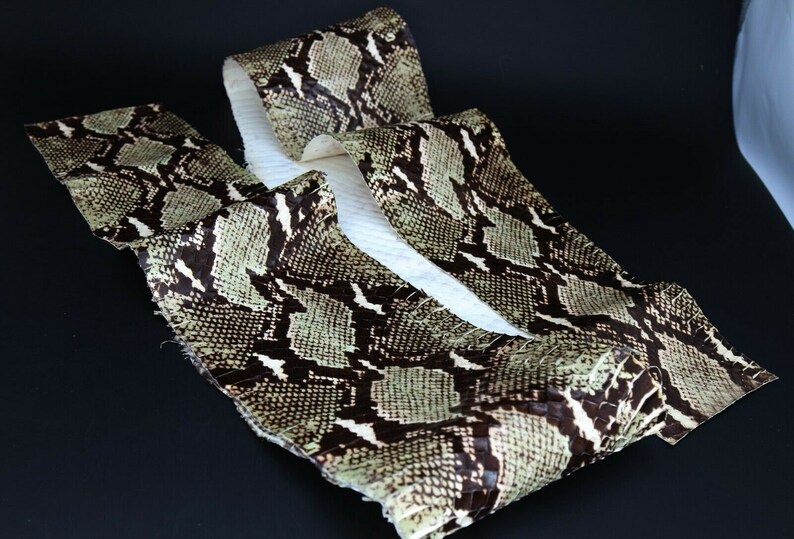 Asia Cobra Snake Skin Hide Leather Snakeskin Craft Supply Etsy