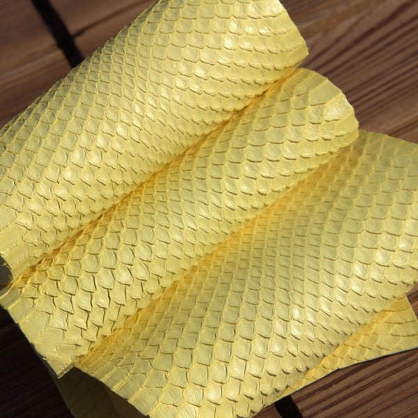 Lifted Scale Sea Python Snake Skin Snakeskin Hide Leather Craft Supply Satin Yellow